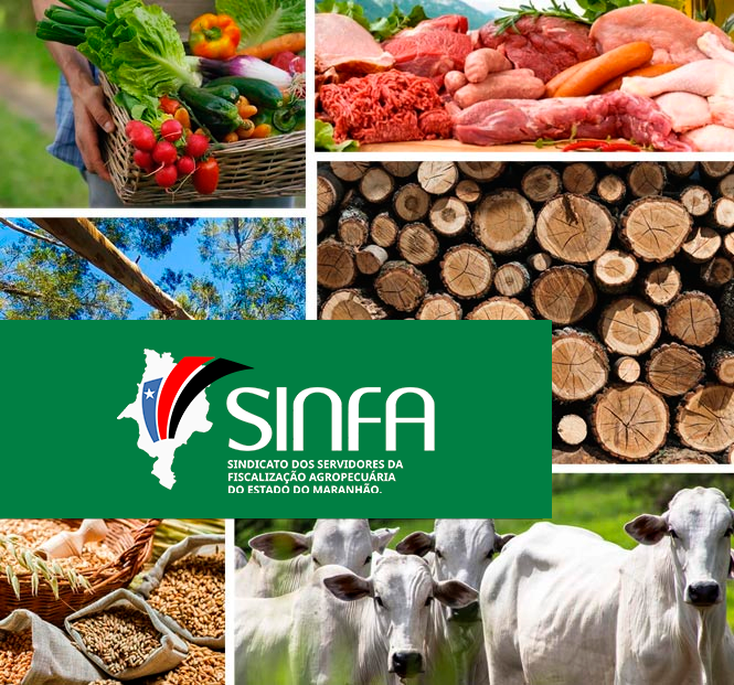SINFA MA – Quem Somos SINFA MA - Quem Somos