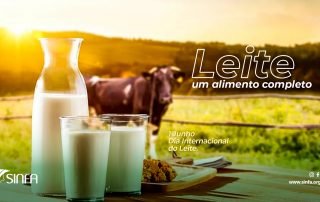 SINFA MA 1 Junho Dia Internacional do Leite