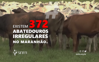 Existem 372 abatedouros irregulares no Maranhão.