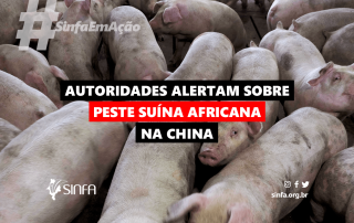 SINFA-Controle da peste suina africana