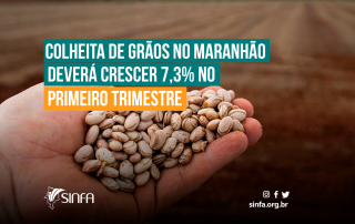 Colheita-de-grãos-no-Maranhão-deverá-crescer-7,3%-no-primeiro-trimestre