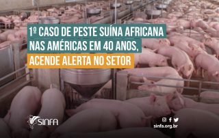 SINFA MA - Caso de peste suína africana nas Américas em 40 anos, acende alerta no setor