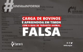 SINFA MARANHÃO - Guia de Trânsito Animal falsa é apreendida em Timon