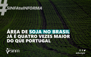 Área de soja no Brasil já é quatro vezes maior do que Portugal