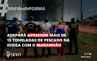 Adepará apreende mais de 15 toneladas de pescado na divisa com o Maranhão