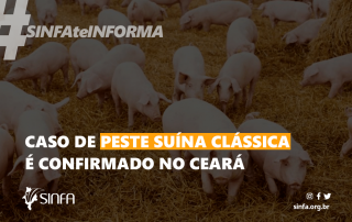 Caso de peste suína clássica é confirmado no Ceará