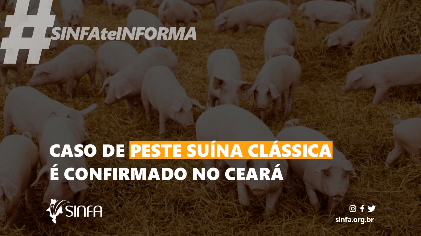 Caso de peste suína clássica é confirmado no Ceará