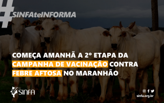 Começa 2ª etapa da campanha de vacinação contra febre aftosa no MA