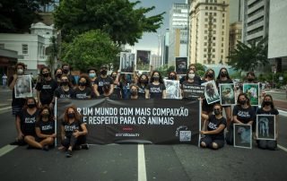 ONGs são contra PL do Autocontrole