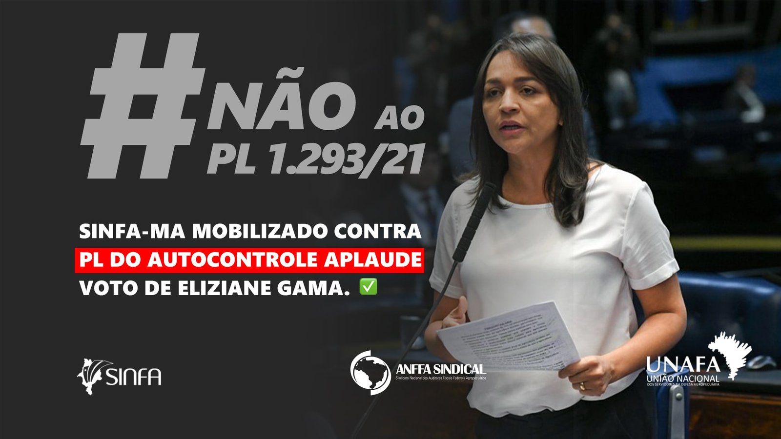 SINFA-MA mobilizado contra PL do Autocontrole aplaude voto de Eliziane Gama.