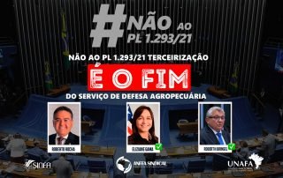 Senadores maranhenses firmam posição contra tramitação do PL n° 1.293