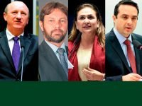 Governo de transição anuncia lista de integrantes do núcleo de Agricultura