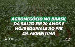 Agronegócio no Brasil dá salto em 20 anos e hoje equivale ao PIB da Argentina 