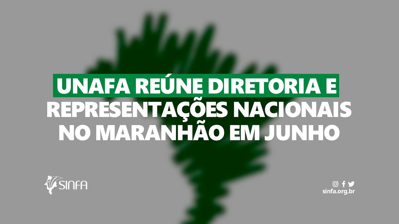 UNAFA reúne diretoria e representações nacionais no Maranhão em junho